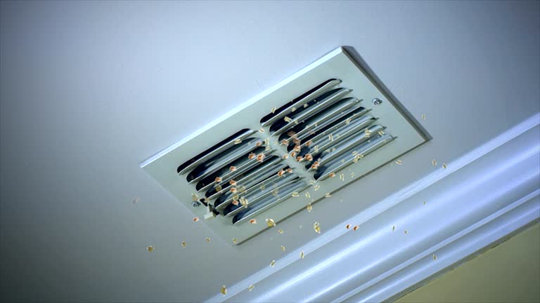 Best Best Air Duct Cleaning Company  in Winnebago, IL