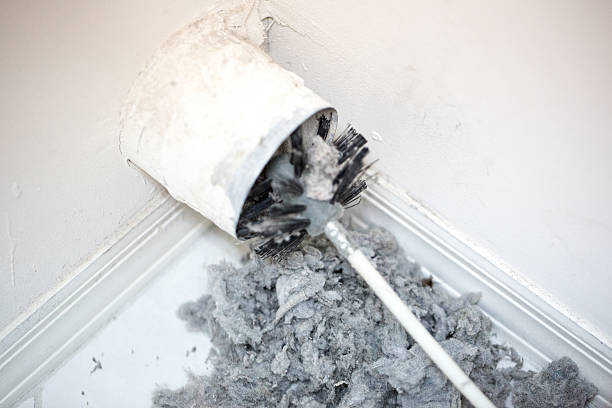 Best Air Duct Cleaning Near Me  in Winnebago, IL